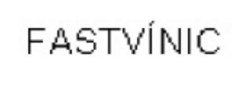 Imagen de FASTVINIC