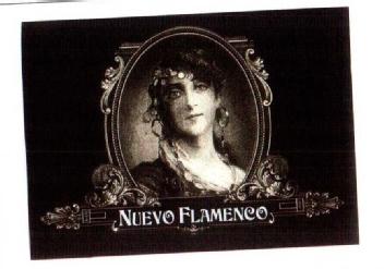 Imagen de NUEVO FLAMENCO