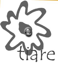 Imagen de TIARE