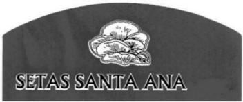 Imagen de SETAS SANTA ANA