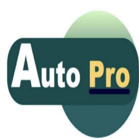 Imagen de AUTO PRO
