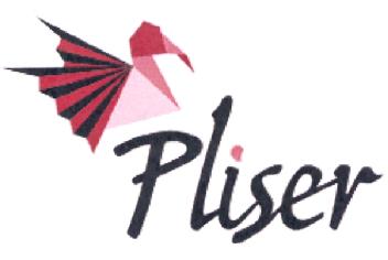 Imagen de PLISER