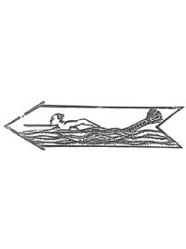 Imagen de TRITON