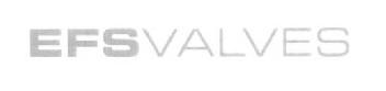 Imagen de EFS VALVES