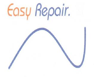 Imagen de EASY REPAIR