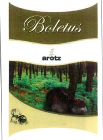 Imagen de BOLETUS AROTZ