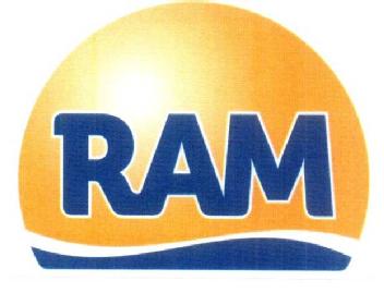 Imagen de RAM
