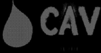 Imagen de CAV