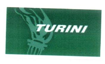 Imagen de TURINI