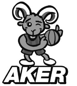 Imagen de AKER