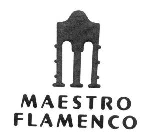 Imagen de MAESTRO FLAMENCO