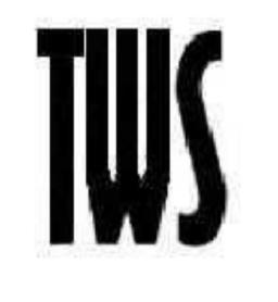 Imagen de TWS