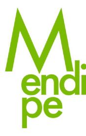 Imagen de MENDIPE