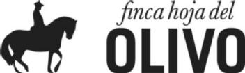 Imagen de FINCA HOJA DEL OLIVO