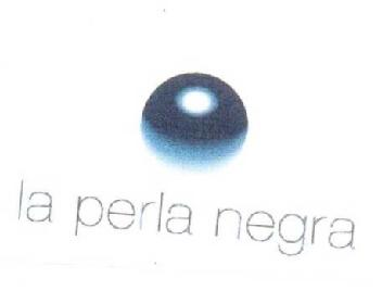Imagen de LA PERLA NEGRA