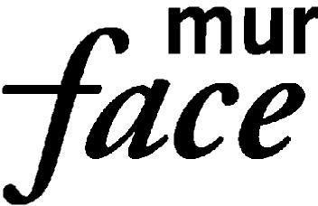 Imagen de MUR FACE