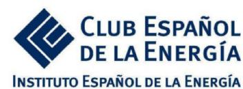 Imagen de CLUB ESPAÑOL DE LA ENERGIA INSTITUTO ESPAÑOL DE LA ENERGIA