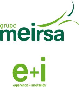 Imagen de GRUPO MEIRSA E+I EXPERIENCIA+INNOVACION