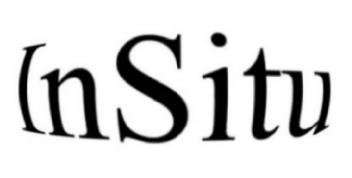 Imagen de INSITU