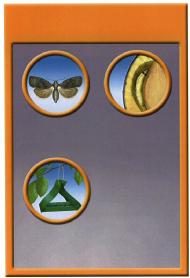 Imagen de FIG