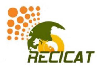 Imagen de RECICAT
