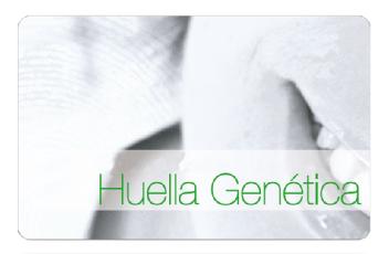 Imagen de HUELLA GENETICA