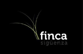 Imagen de FINCA SIGUENZA