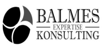 Imagen de BALMES EXPERTISE KONSULTING