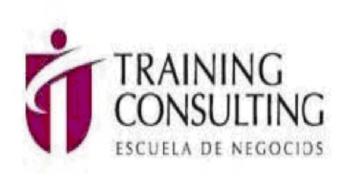 Imagen de T TRAINING CONSULTING ESCUELA DE NEGOCIOS