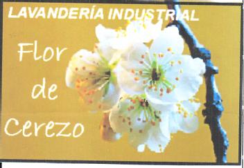 Imagen de LAVANDERIA INDUSTRIAL FLOR DE CEREZO