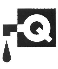 Imagen de Q