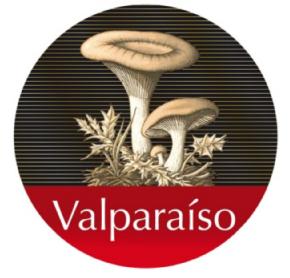 Imagen de VALPARAISO