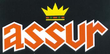 Imagen de ASSUR