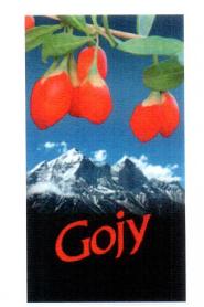Imagen de GOJY