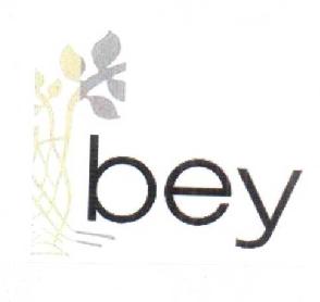 Imagen de BEY