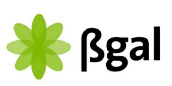 Imagen de BGAL