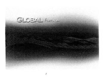 Imagen de GLOBAL PLATINUM