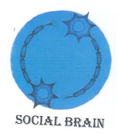 Imagen de SOCIAL BRAIN