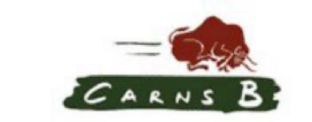 Imagen de CARNS B