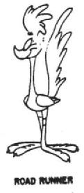 Imagen de ROAD RUNNER