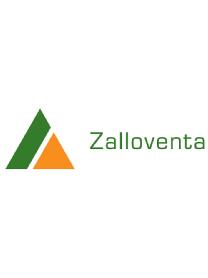 Imagen de ZALLOVENTA
