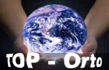 Imagen de TOP-ORTO