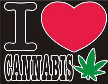Imagen de I CANNABIS