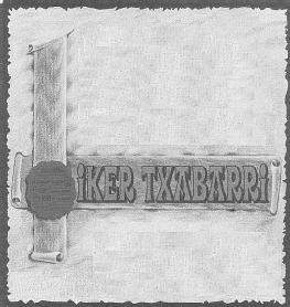 Imagen de IKER TXABARRI