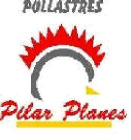 Imagen de POLLASTRES PILAR PLANES