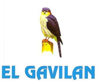 Imagen de EL GAVILAN