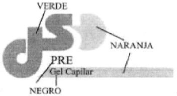Imagen de JS PRE GEL CAPILAR