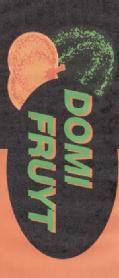Imagen de DOMI FRUYT