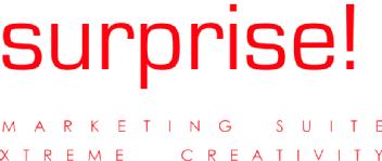 Imagen de SURPRISE! MARKETING SUITE XTREME CREATIVITY