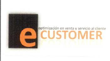Imagen de E CUSTOMER, OPTIMIZACION EN VENTA Y SERVICIO AL CLIENTE